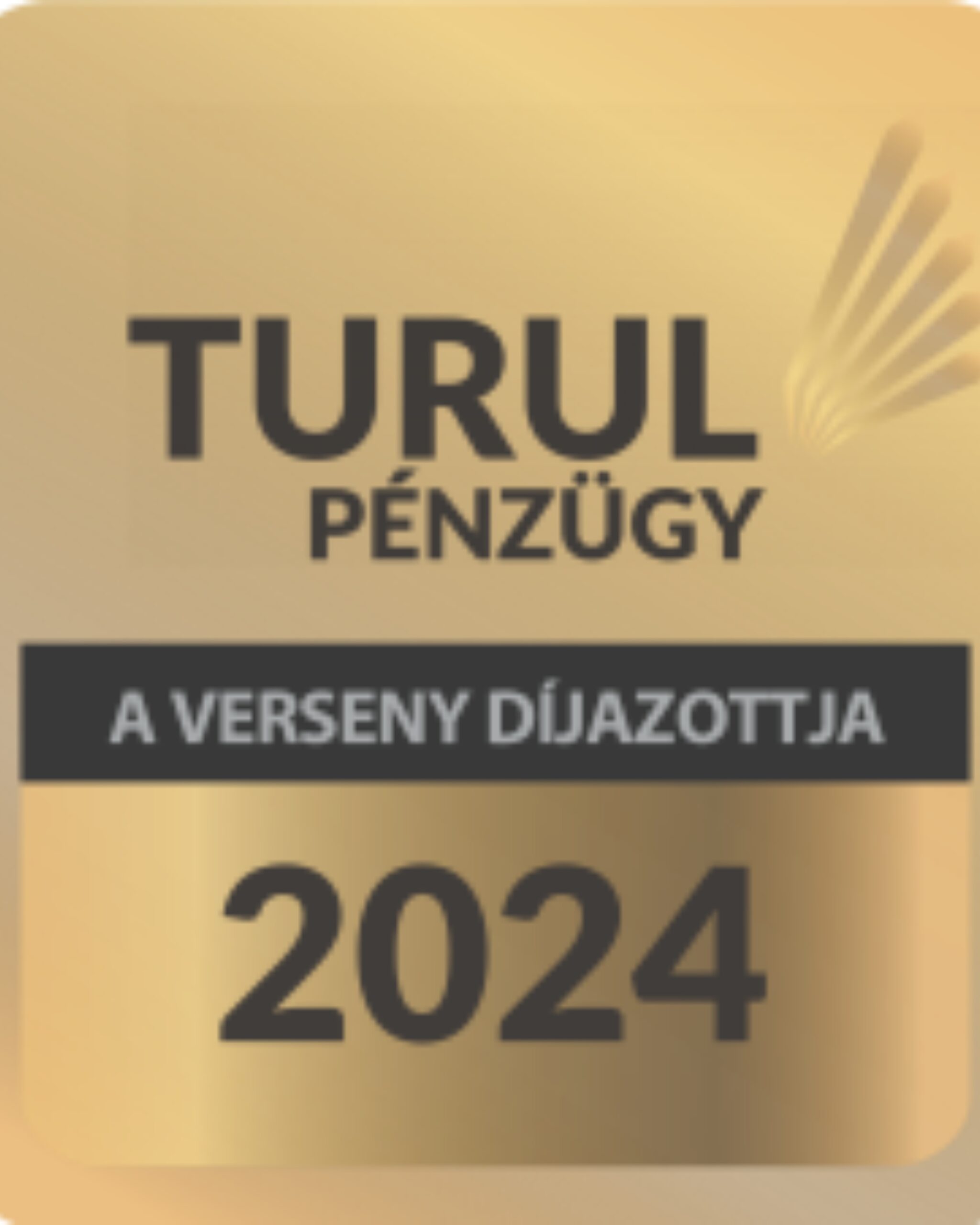 Főoldal ködmön (4)